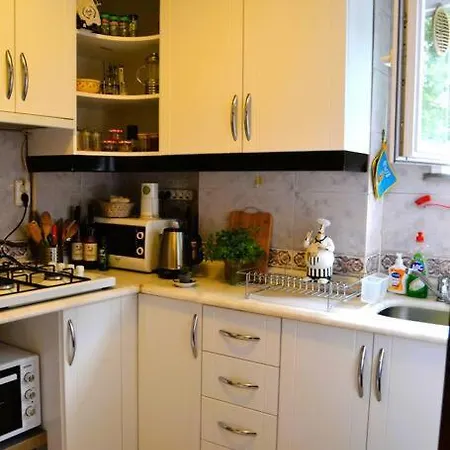 Apartment Private With Bosphorus Bridge View *